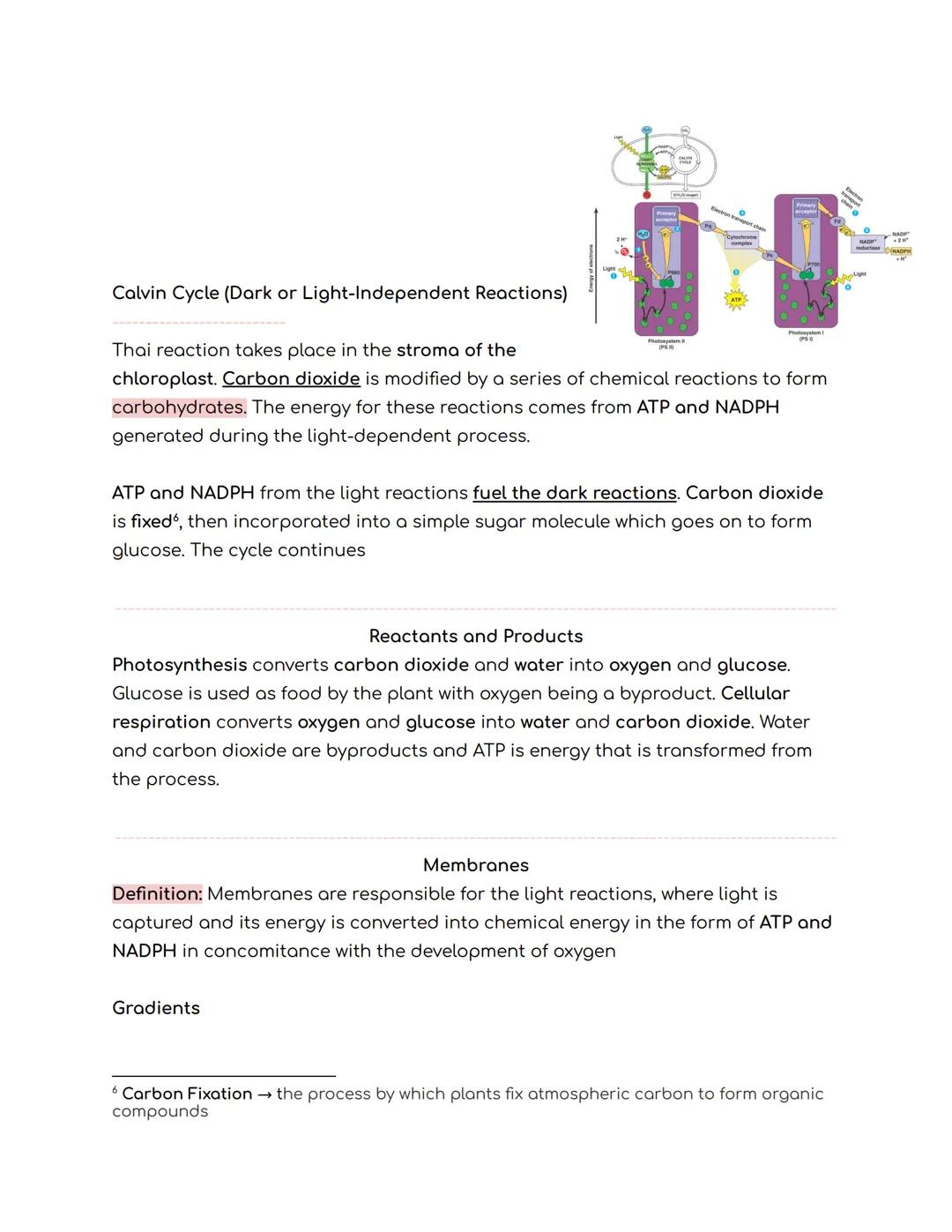 Metabolism
Overview
Definition: The chemical process that occurs within a living organism in order to
maintain life
Metabolic Pathways
A met