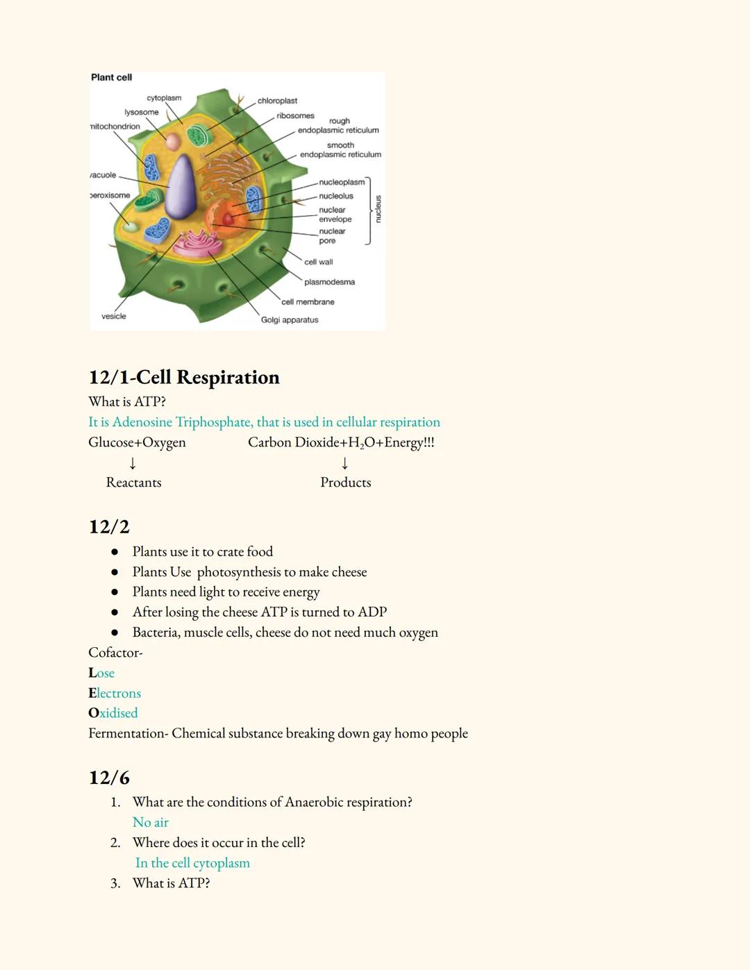 Dayspring Academy - Early College
EOC Prep
Teacher: Ms. Gates
Email: Emma Kanner@dayspringacademy.org
9TH GRADE
BIOLOGY
Notes
What is Scienc