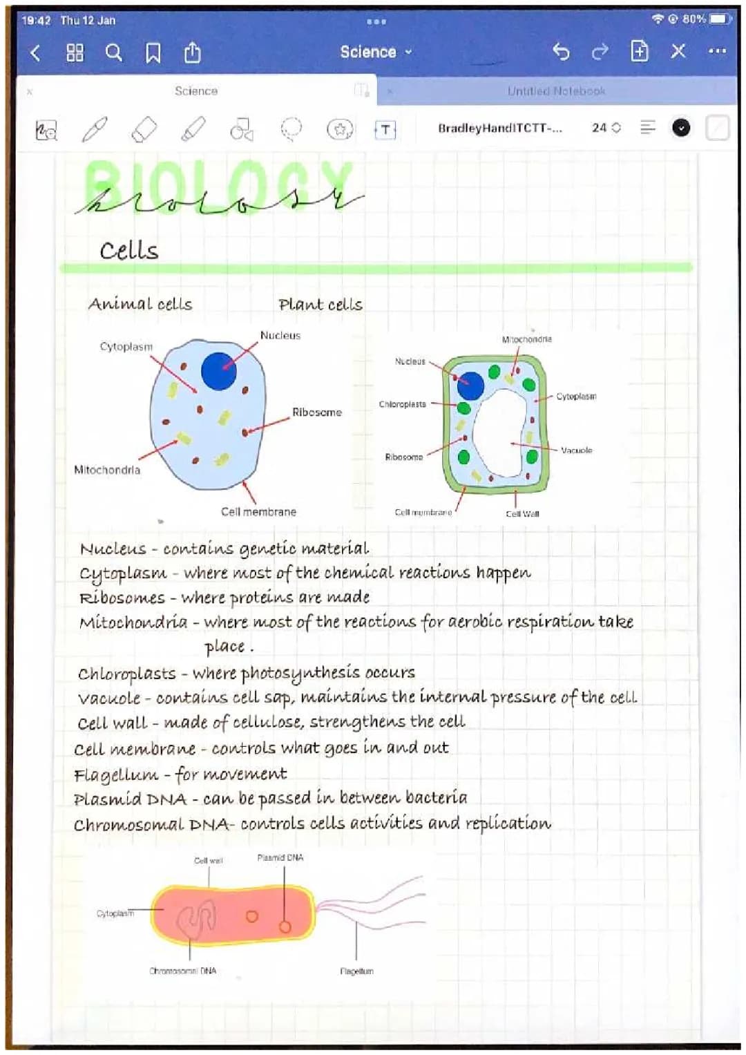 Cells and specialised cells