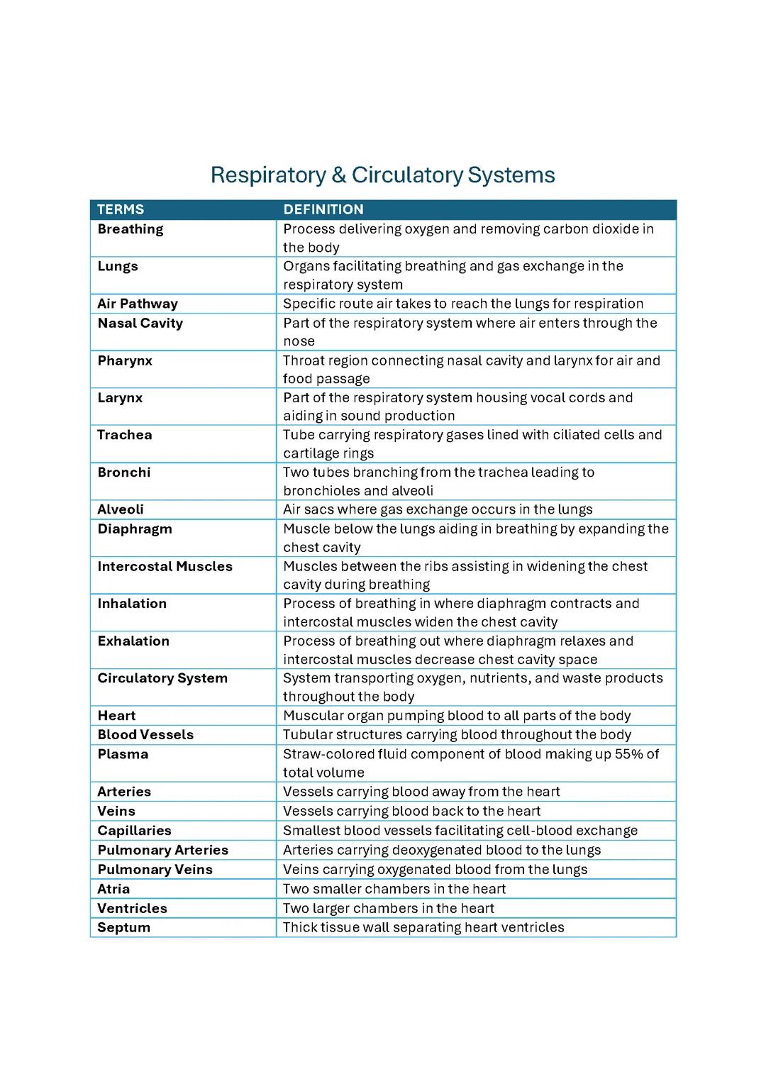 respiratory and circulatory system