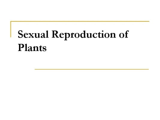 Know Sexual Reproduction of Plants thumbnail