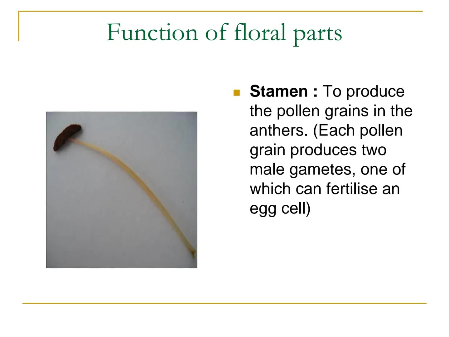 Sexual Reproduction of
Plants Learning objectives/4)
State the structure & function of the floral
parts including: Sepal, petal, stamen, car