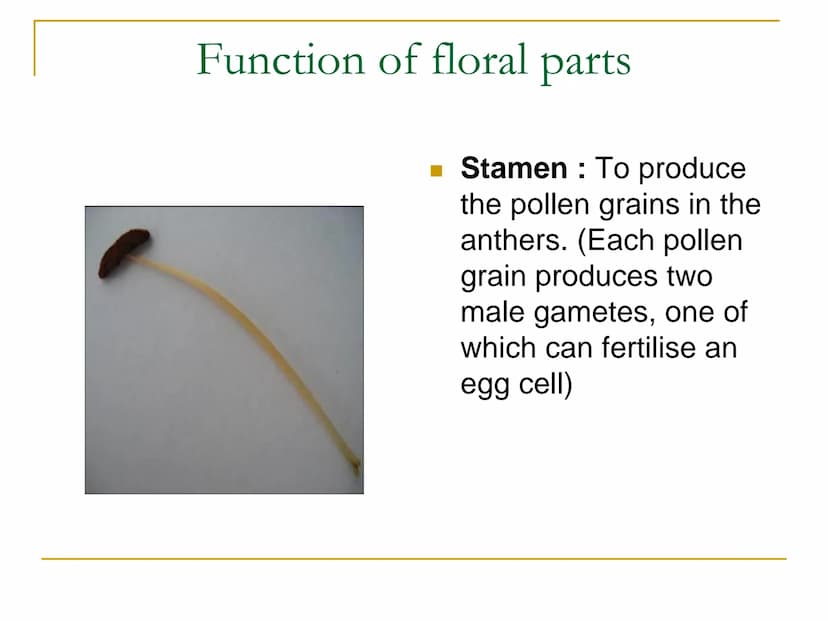 Sexual Reproduction of
Plants Learning objectives/4)
State the structure & function of the floral
parts including: Sepal, petal, stamen, car