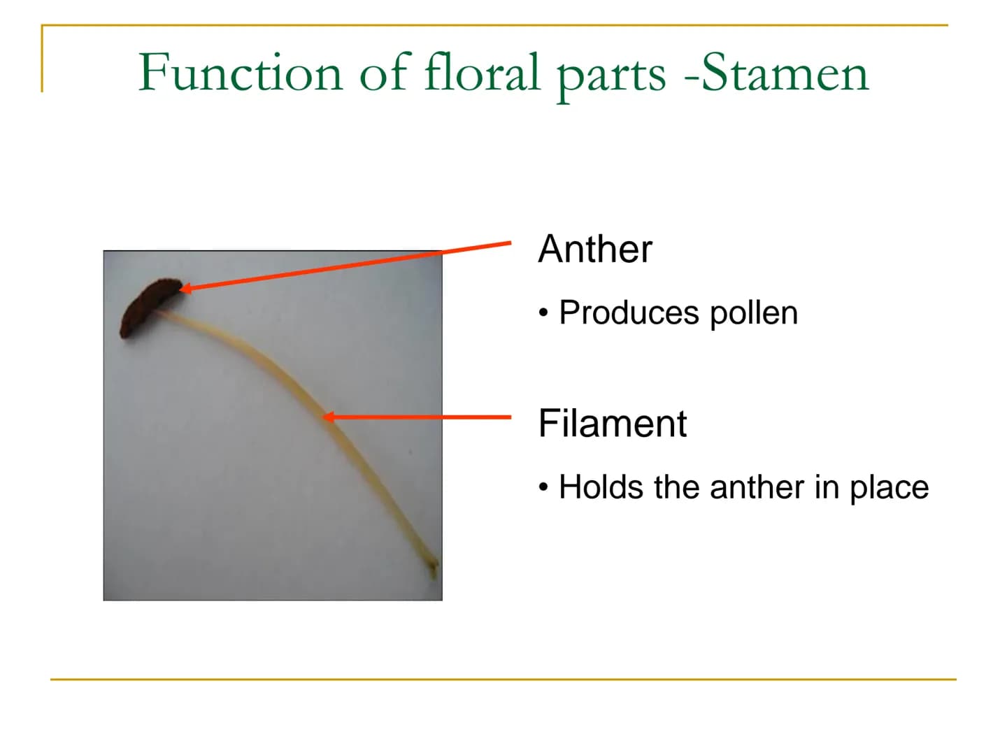Sexual Reproduction of
Plants Learning objectives/4)
State the structure & function of the floral
parts including: Sepal, petal, stamen, car