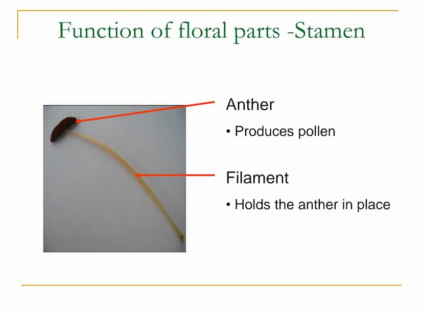 Sexual Reproduction of
Plants Learning objectives/4)
State the structure & function of the floral
parts including: Sepal, petal, stamen, car