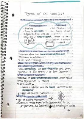 Know Types of cell transport thumbnail