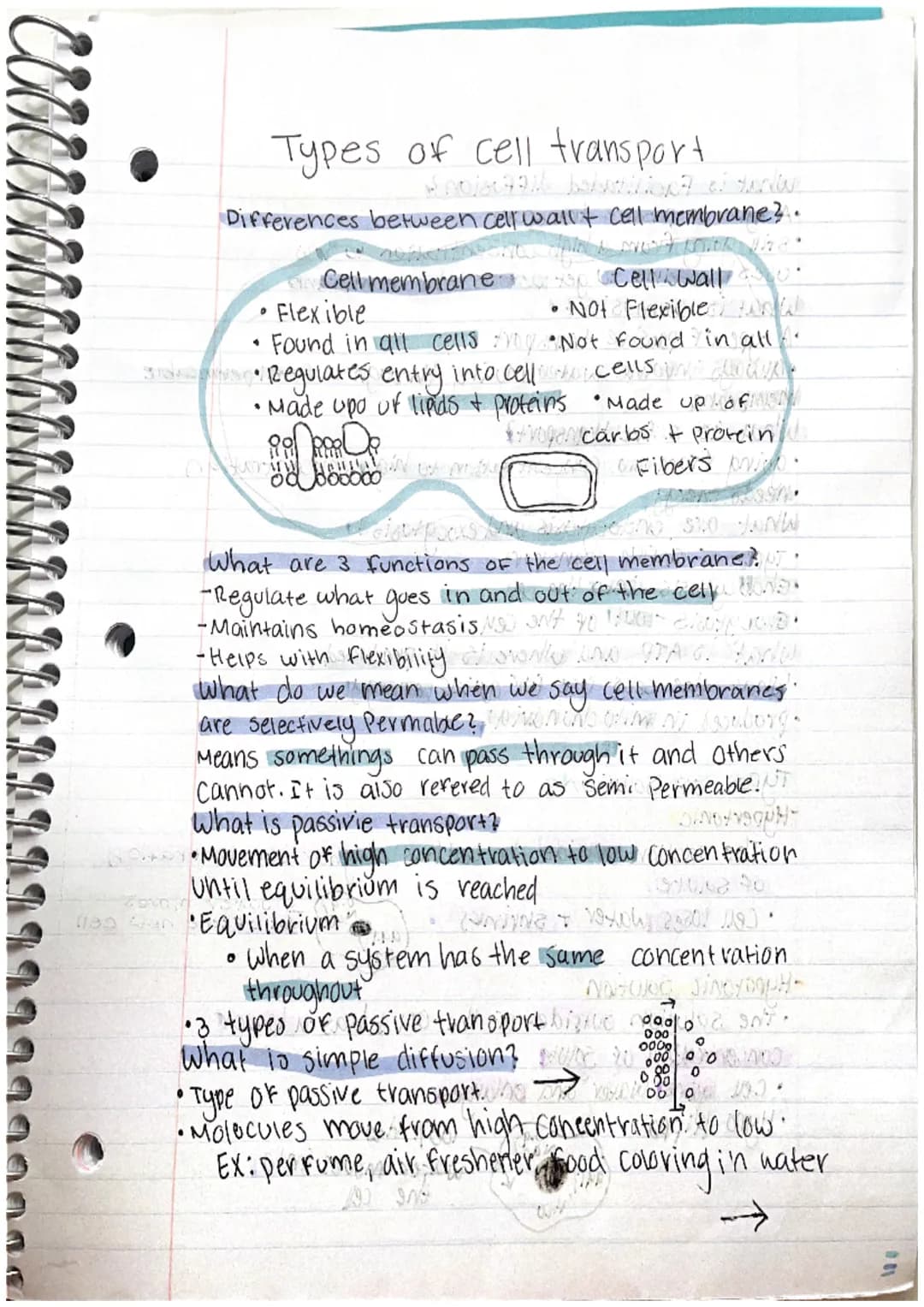 Types of cell transport
Hnoja9916 baltilist of sunl
Differences between cell wall & call membrane?.
• Flexible
Found in all cells :
3d Regul