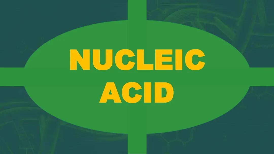 Nucleic Acid