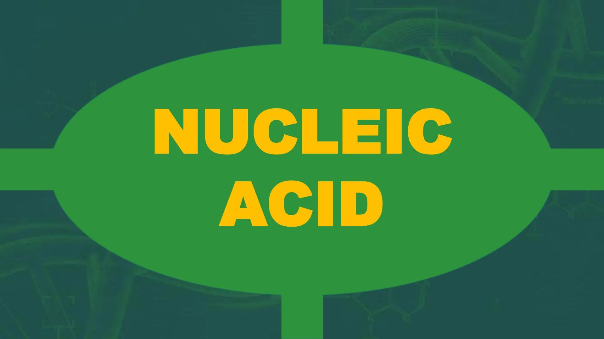 NUCLEIC
ACID XW
AMN
When you hear the word
"nucleic acid", what
comes to your mind?
AMX
DD History on
Background Friedrich Miescher
was a Sw