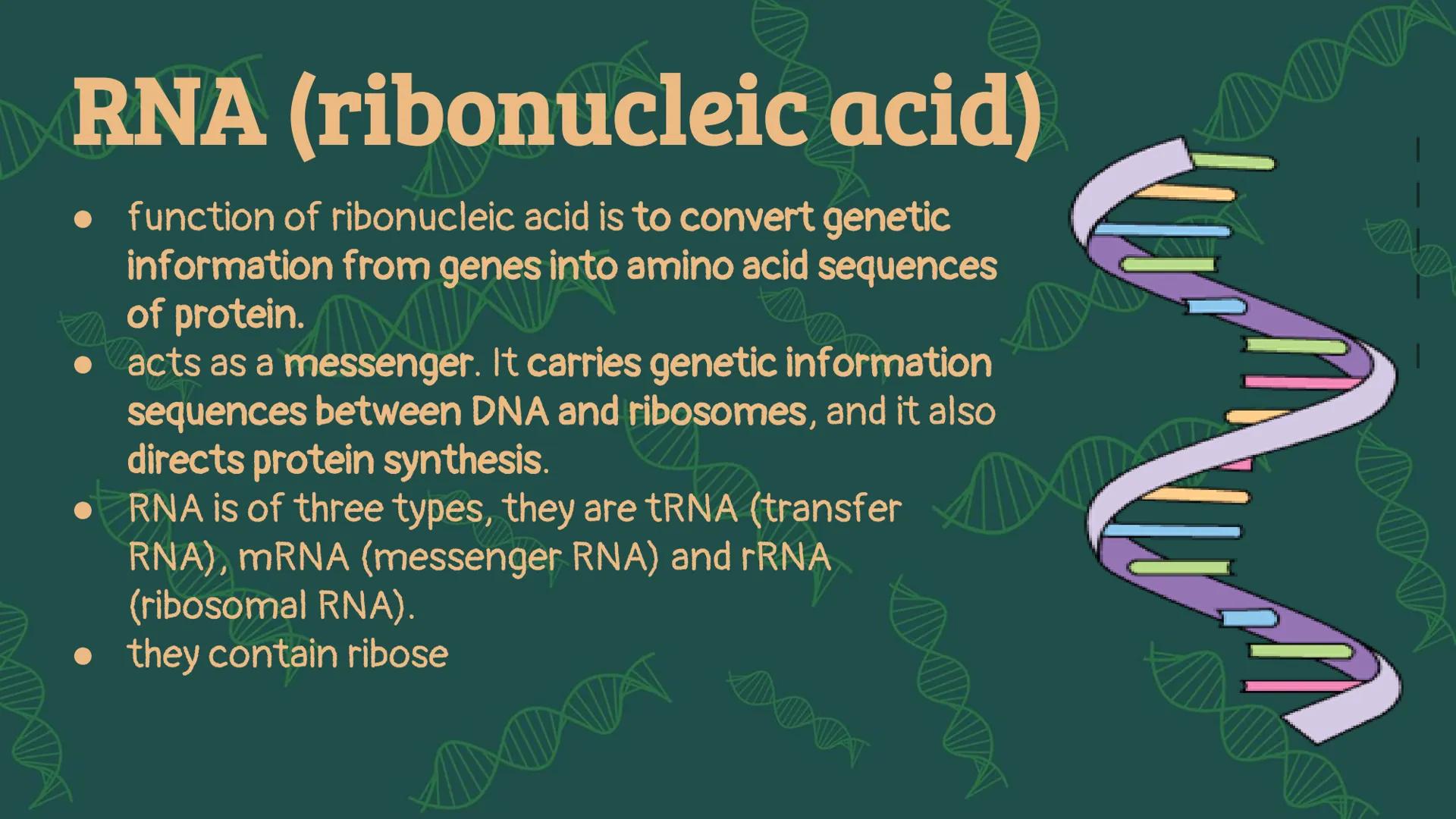 NUCLEIC
ACID XW
AMN
When you hear the word
"nucleic acid", what
comes to your mind?
AMX
DD History on
Background Friedrich Miescher
was a Sw