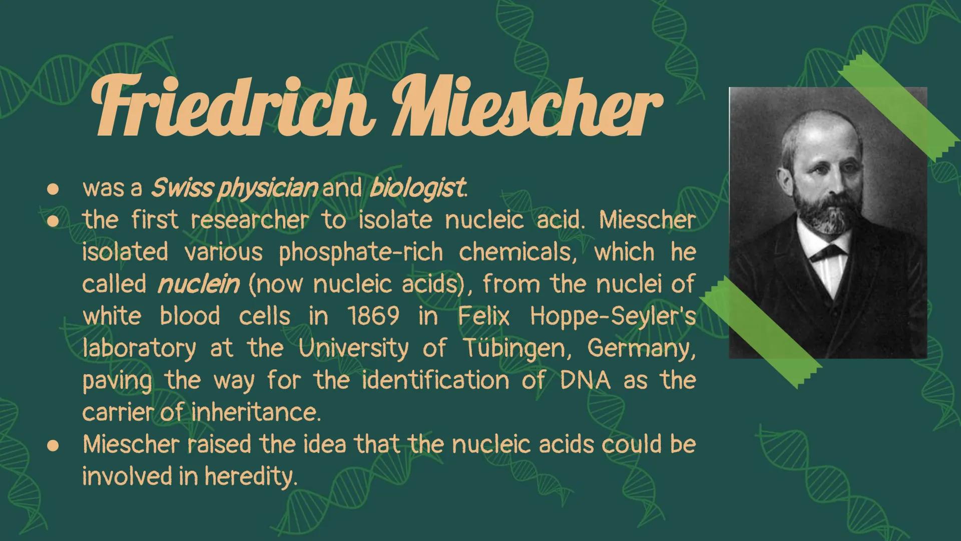 NUCLEIC
ACID XW
AMN
When you hear the word
"nucleic acid", what
comes to your mind?
AMX
DD History on
Background Friedrich Miescher
was a Sw