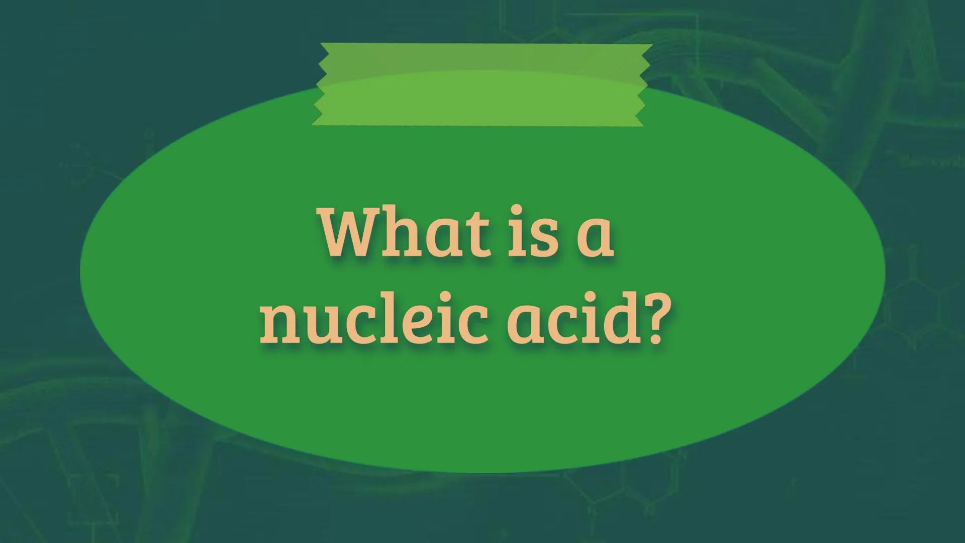 NUCLEIC
ACID XW
AMN
When you hear the word
"nucleic acid", what
comes to your mind?
AMX
DD History on
Background Friedrich Miescher
was a Sw