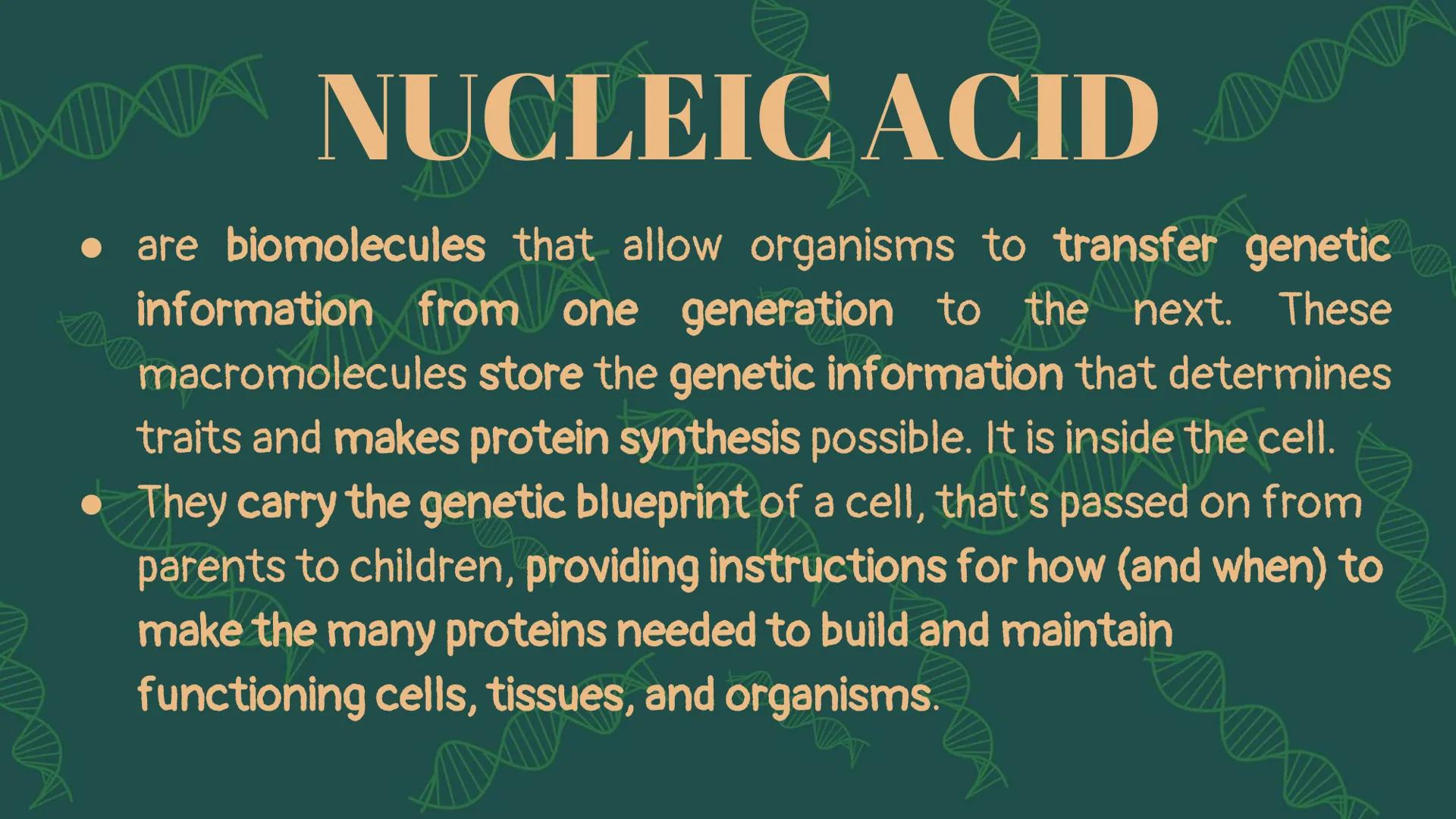 NUCLEIC
ACID XW
AMN
When you hear the word
"nucleic acid", what
comes to your mind?
AMX
DD History on
Background Friedrich Miescher
was a Sw
