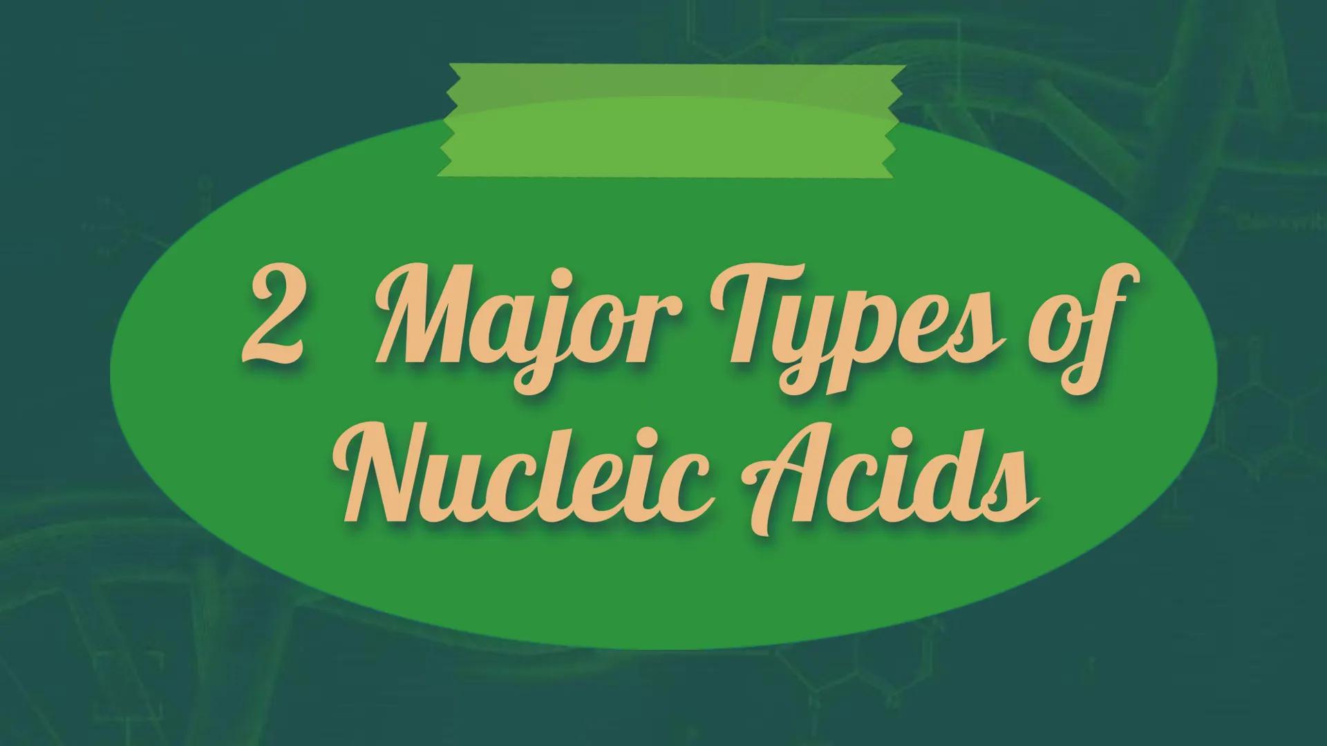 NUCLEIC
ACID XW
AMN
When you hear the word
"nucleic acid", what
comes to your mind?
AMX
DD History on
Background Friedrich Miescher
was a Sw