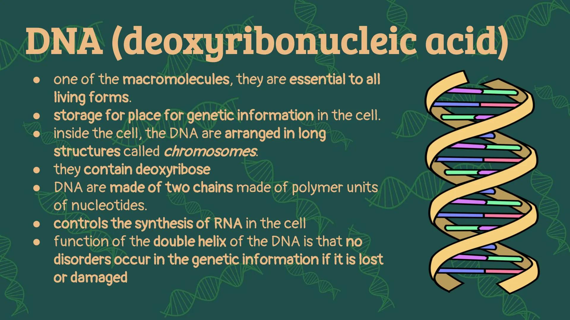 NUCLEIC
ACID XW
AMN
When you hear the word
"nucleic acid", what
comes to your mind?
AMX
DD History on
Background Friedrich Miescher
was a Sw