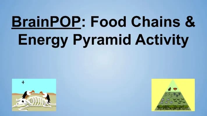 Know Food Chains and Energy Pyramid BrainPOP  thumbnail