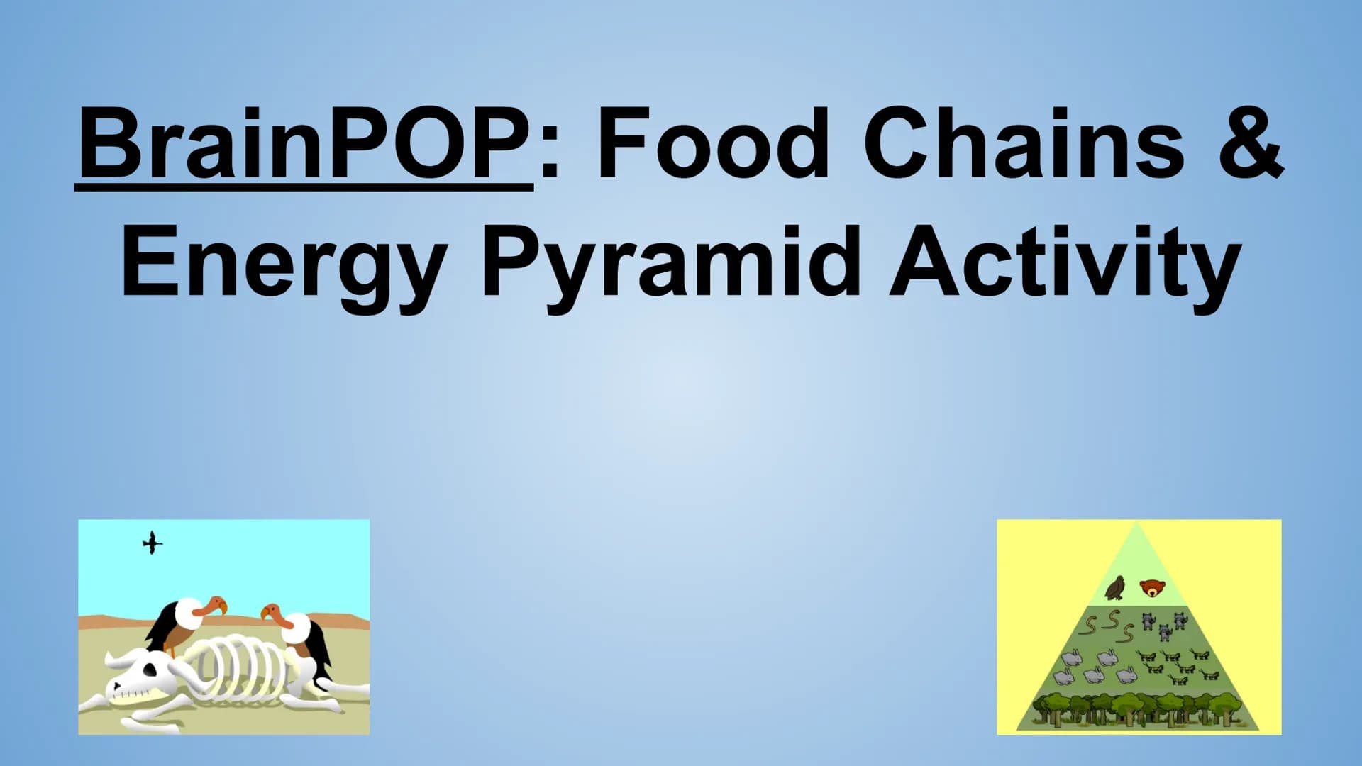 BrainPOP: Food Chains &
Energy Pyramid Activity
+
HHH
Om Part 1- BrainPOP Food Chains
Watch the movie and answer the questions below. (Turn 