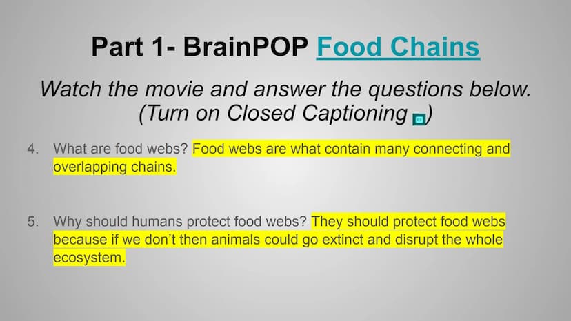 BrainPOP: Food Chains &
Energy Pyramid Activity
+
HHH
Om Part 1- BrainPOP Food Chains
Watch the movie and answer the questions below. (Turn 
