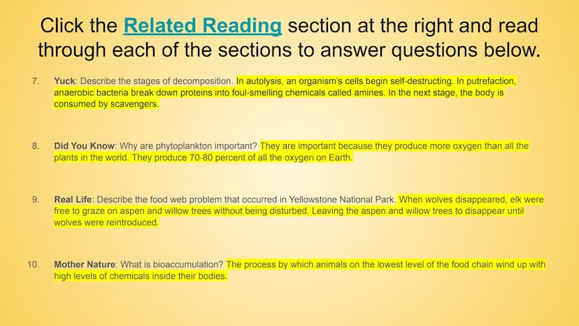 BrainPOP: Food Chains &
Energy Pyramid Activity
+
HHH
Om Part 1- BrainPOP Food Chains
Watch the movie and answer the questions below. (Turn 