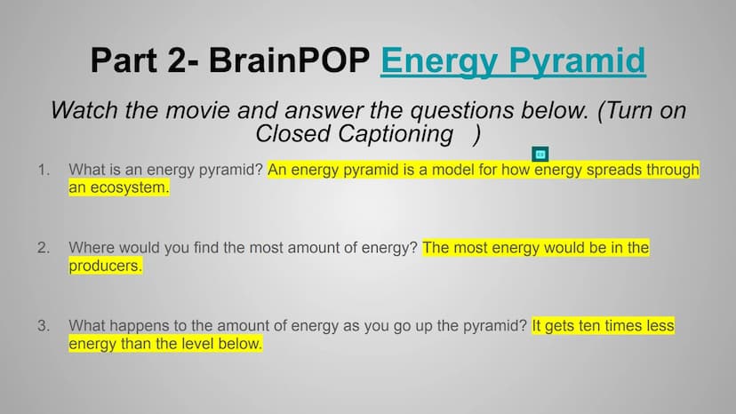 BrainPOP: Food Chains &
Energy Pyramid Activity
+
HHH
Om Part 1- BrainPOP Food Chains
Watch the movie and answer the questions below. (Turn 
