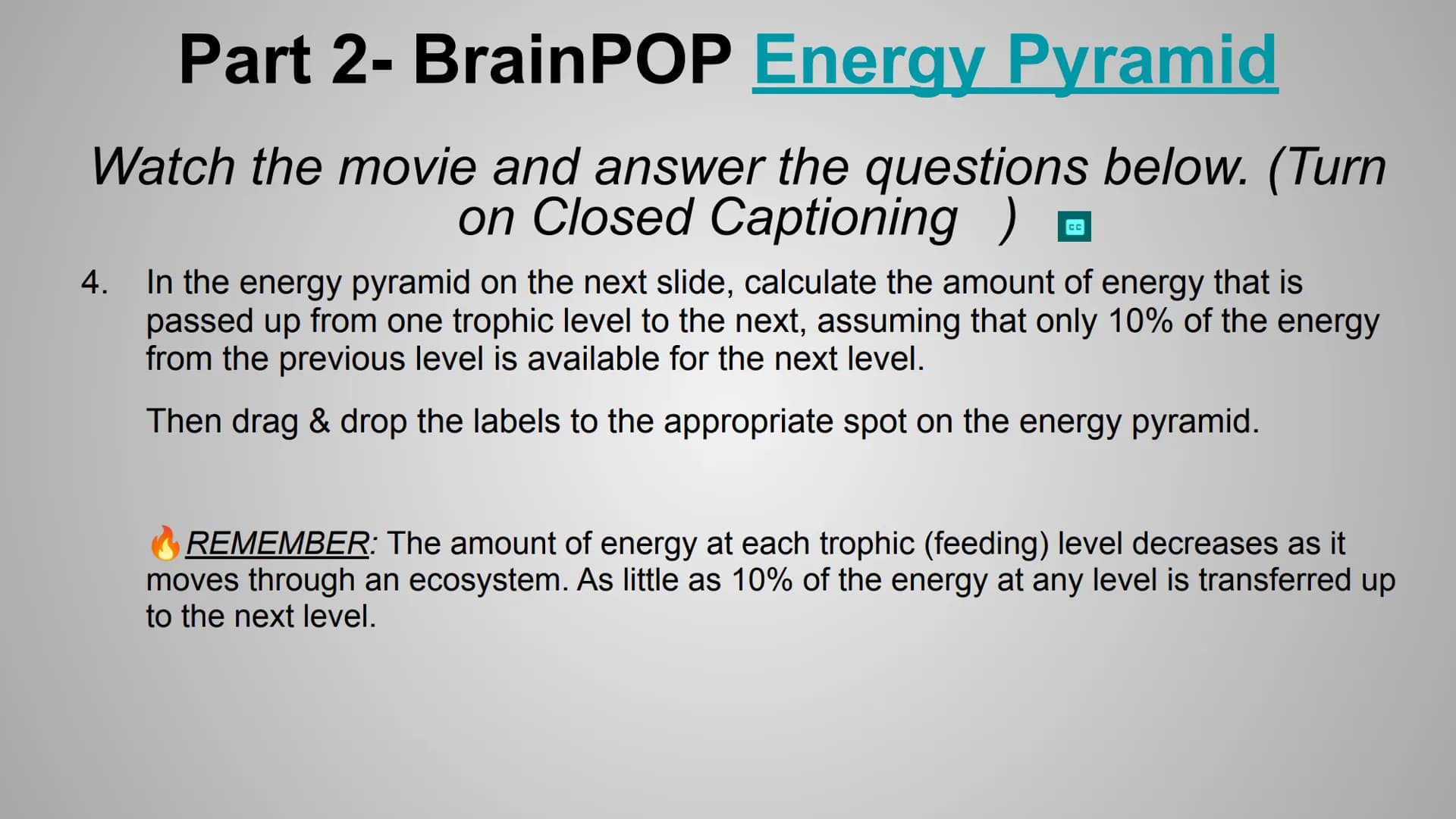 BrainPOP: Food Chains &
Energy Pyramid Activity
+
HHH
Om Part 1- BrainPOP Food Chains
Watch the movie and answer the questions below. (Turn 