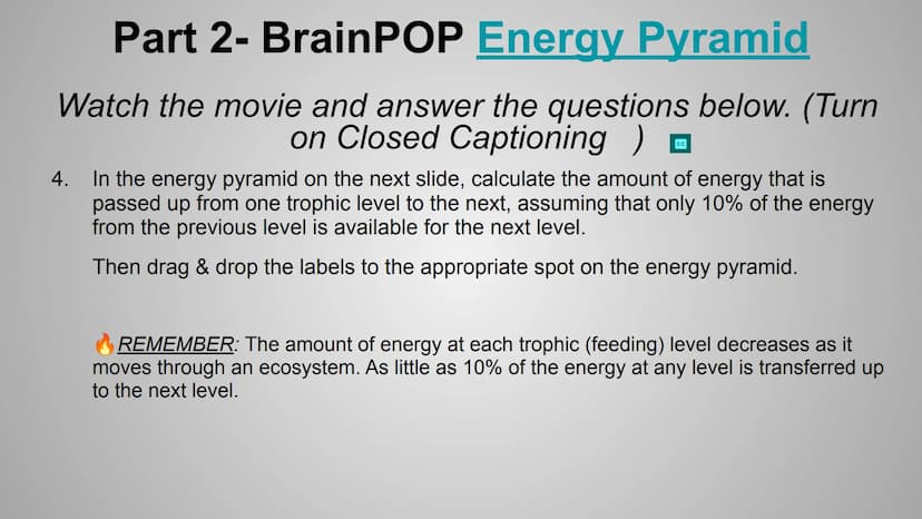 BrainPOP: Food Chains &
Energy Pyramid Activity
+
HHH
Om Part 1- BrainPOP Food Chains
Watch the movie and answer the questions below. (Turn 
