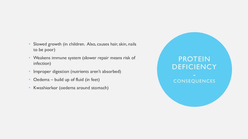 PROTEINS ●
●
Examples: meat, fish, dairy, nuts, seeds, beans
Uses: Growth - nails, hair, muscle mass. Repair - muscles,
tissues, organs. Mai