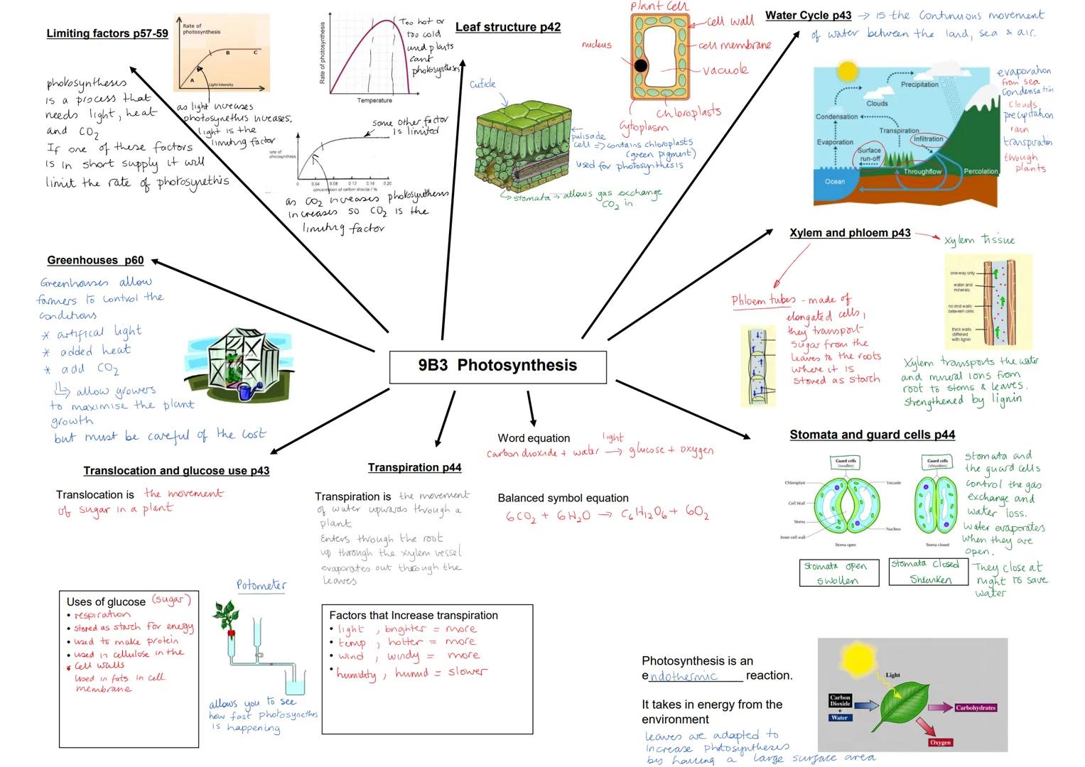 
<p>Photosynthesis is a process that requires light, heat, and CO2. If any of these factors is in short supply, it will limit the rate of ph