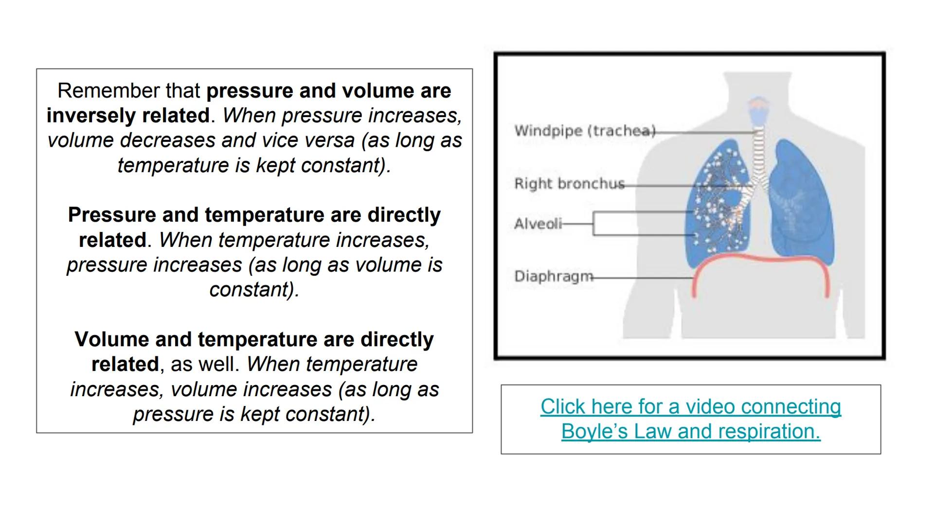 Boyle's Law & Breathing
7
Breathing in
Rib cage expands
Lungs expand
Air in
Diaphragm tightens
Breathing out
Air out
Rib cage shrinks
Diaphr