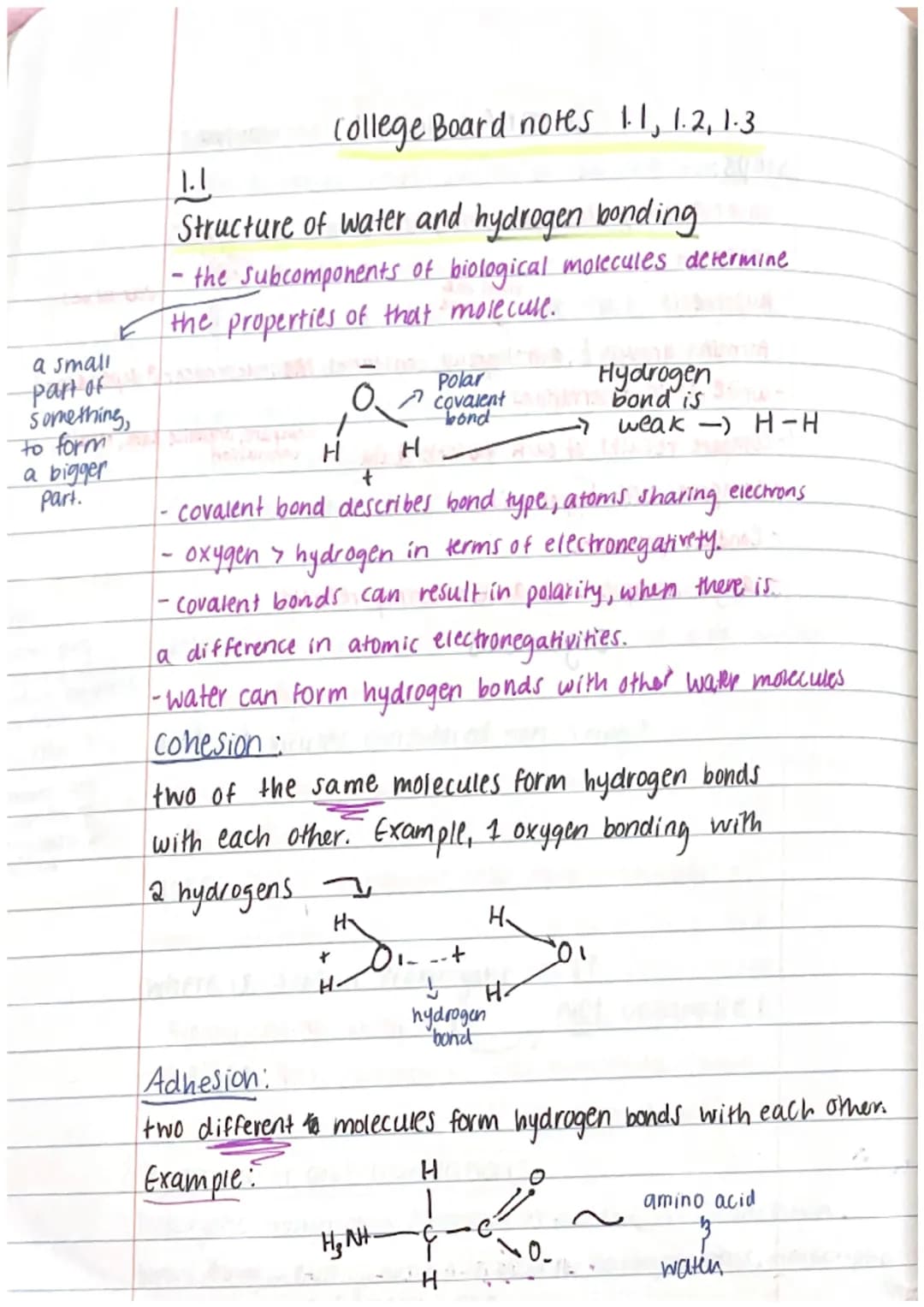 a small
-part of
something,
to form
a bigger
part.
College Board notes 1.1, 1.2, 1.3.
1.1
Structure of water and hydrogen bonding
- the Subc