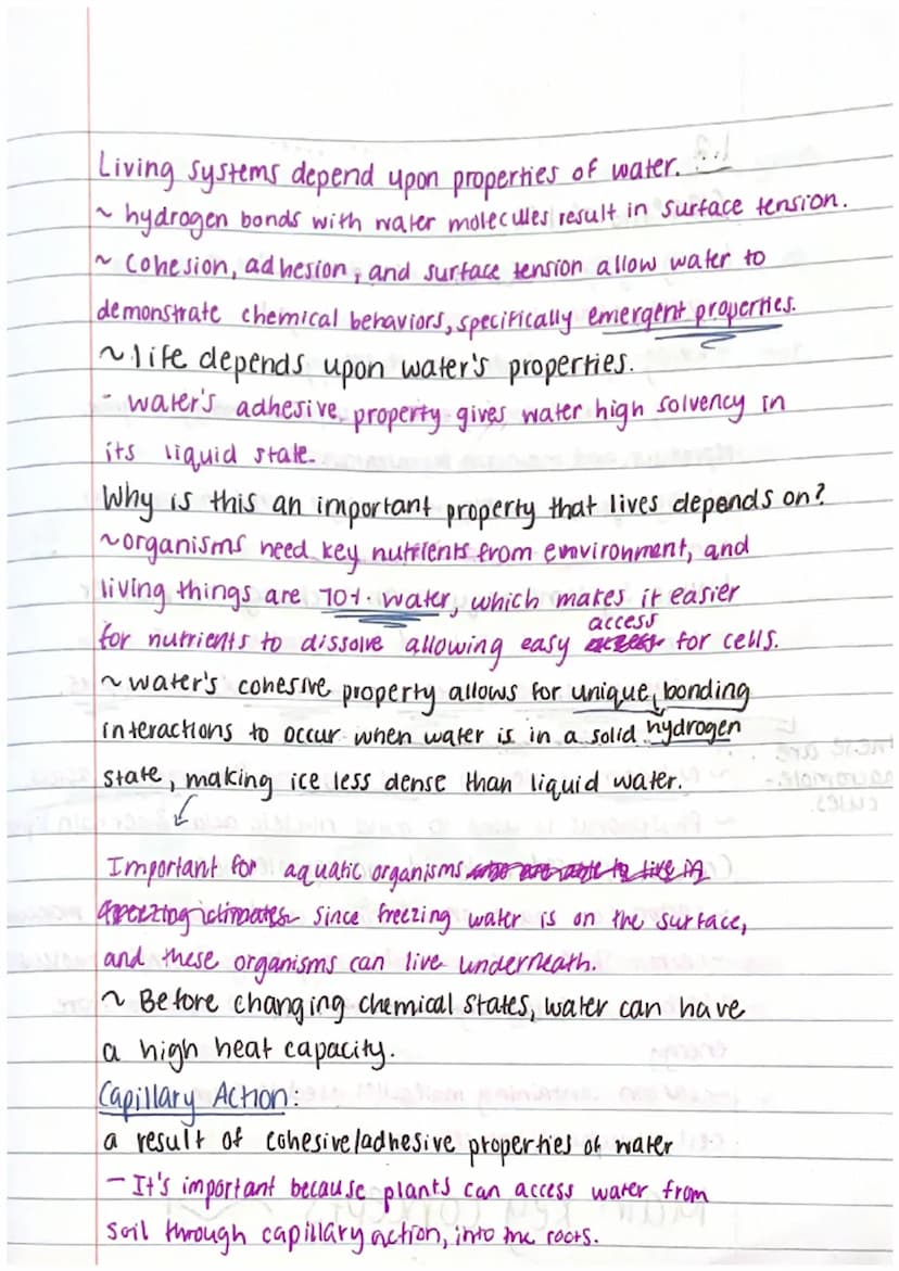 a small
-part of
something,
to form
a bigger
part.
College Board notes 1.1, 1.2, 1.3.
1.1
Structure of water and hydrogen bonding
- the Subc