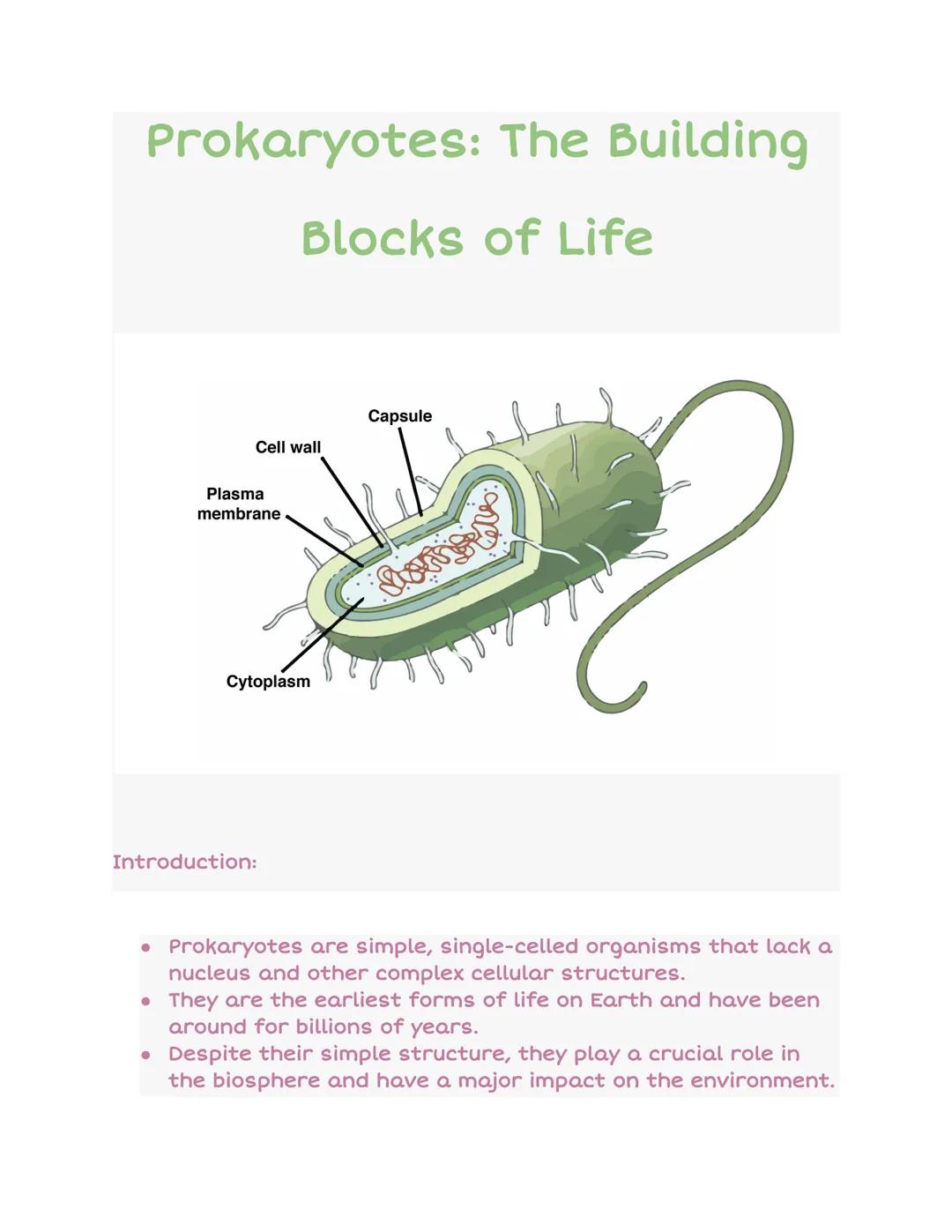 Prokaryotes