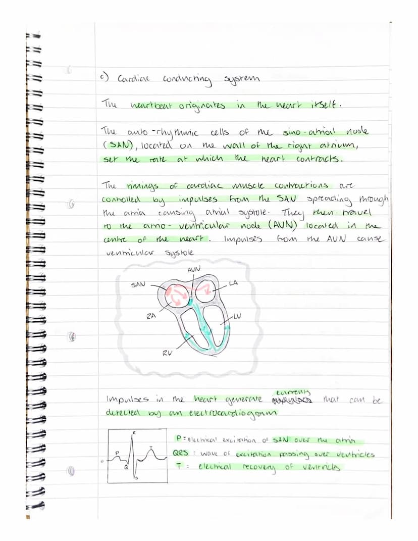Key Area 2.6
The smichure and function of the heart
a)
The
per
(2)
Cardiac Output & Calculation.
cardic output
6) The
volume
minute.
The
for