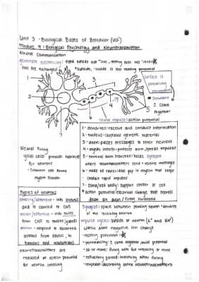 Know ap psychology unit 2 notes - biological bases of behavior thumbnail