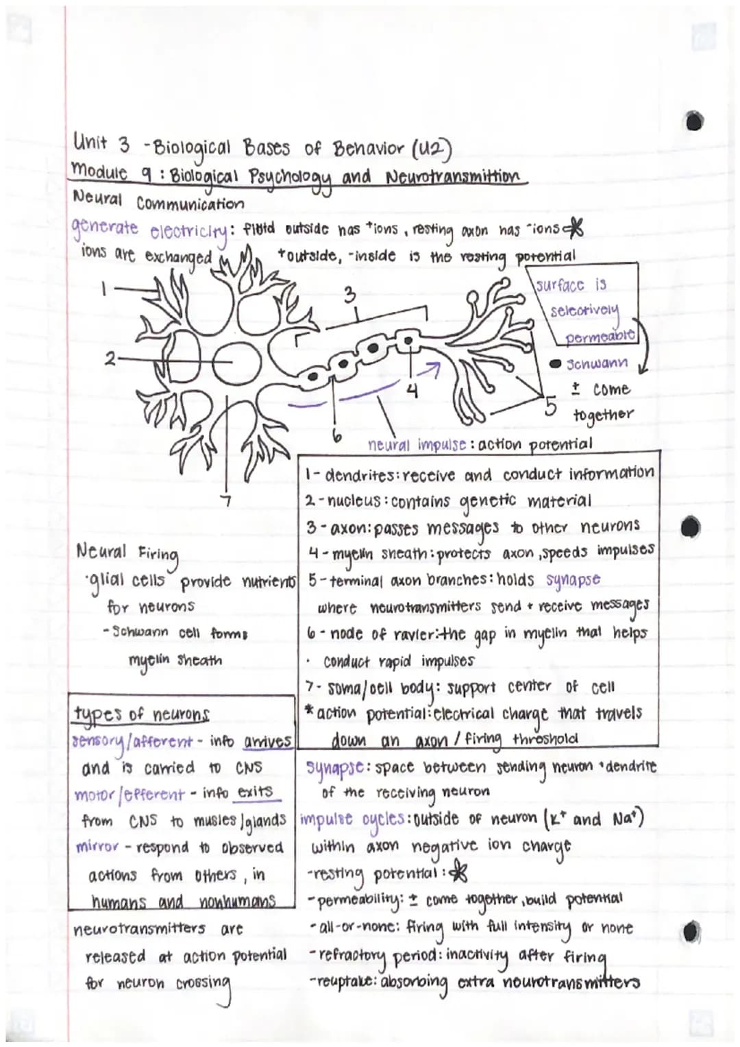 Unit 3 - Biological Bases of Behavior (U2)
Module 9:
: Biological Psychology and Neurotransmittion
Neural Communication
generate electricity