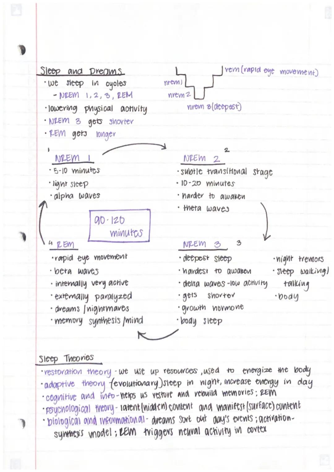 Unit 3 - Biological Bases of Behavior (U2)
Module 9:
: Biological Psychology and Neurotransmittion
Neural Communication
generate electricity