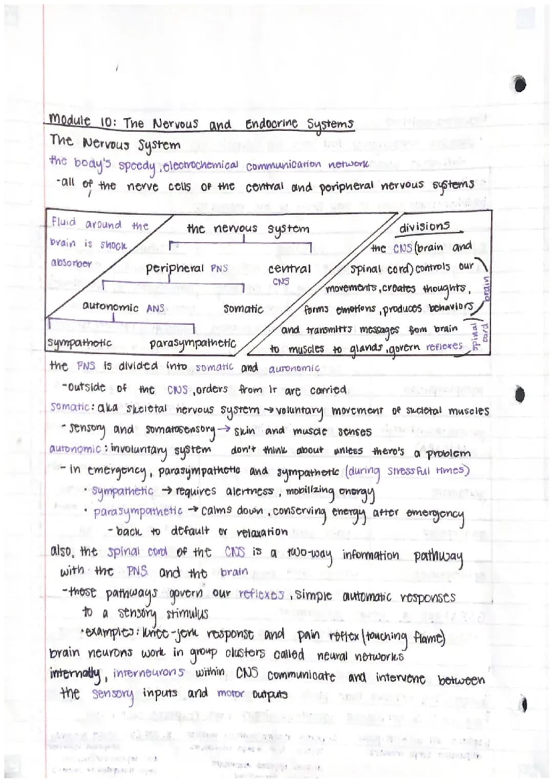 Unit 3 - Biological Bases of Behavior (U2)
Module 9:
: Biological Psychology and Neurotransmittion
Neural Communication
generate electricity