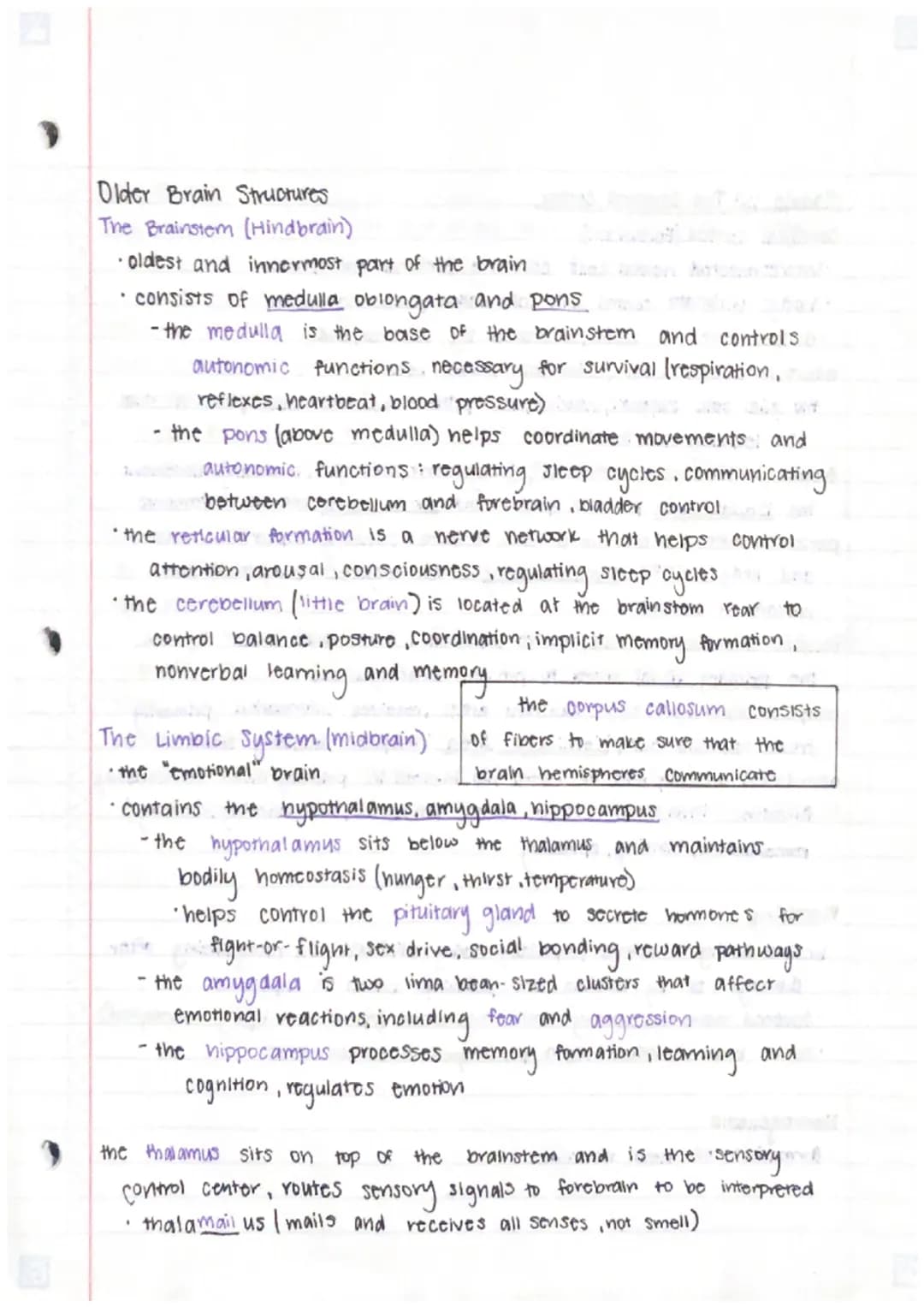 Unit 3 - Biological Bases of Behavior (U2)
Module 9:
: Biological Psychology and Neurotransmittion
Neural Communication
generate electricity