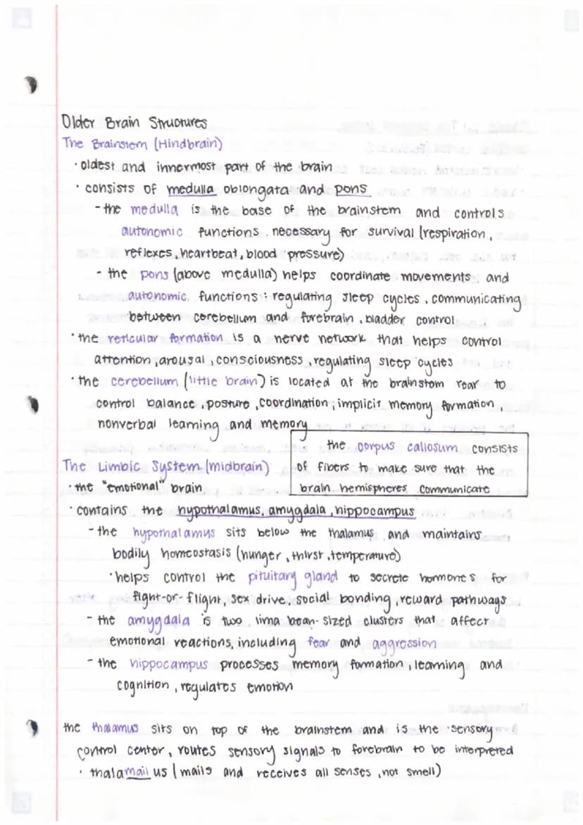 Unit 3 - Biological Bases of Behavior (U2)
Module 9:
: Biological Psychology and Neurotransmittion
Neural Communication
generate electricity