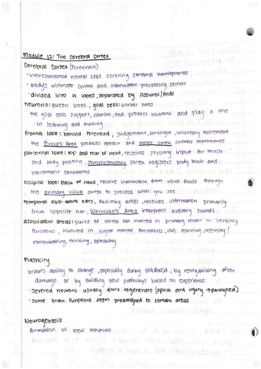 Unit 3 - Biological Bases of Behavior (U2)
Module 9:
: Biological Psychology and Neurotransmittion
Neural Communication
generate electricity