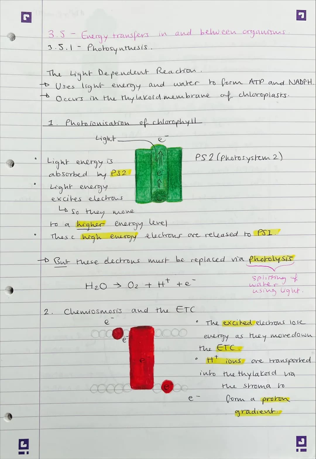 Di
0
3.5 - Evergy transfers in and between organisms.
3.5.1- Photosynthesis.
The Light Dependent Reaction.
to Uses light energy and
water
to