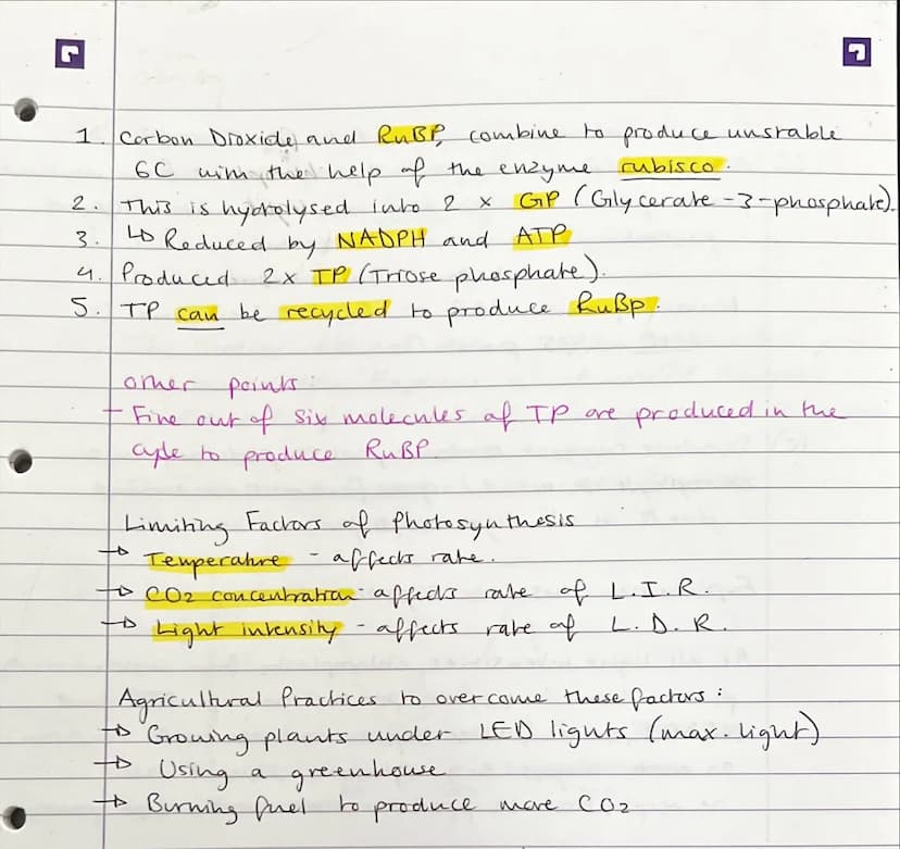 Di
0
3.5 - Evergy transfers in and between organisms.
3.5.1- Photosynthesis.
The Light Dependent Reaction.
to Uses light energy and
water
to