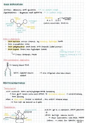 Know DNA protien synthesis  thumbnail