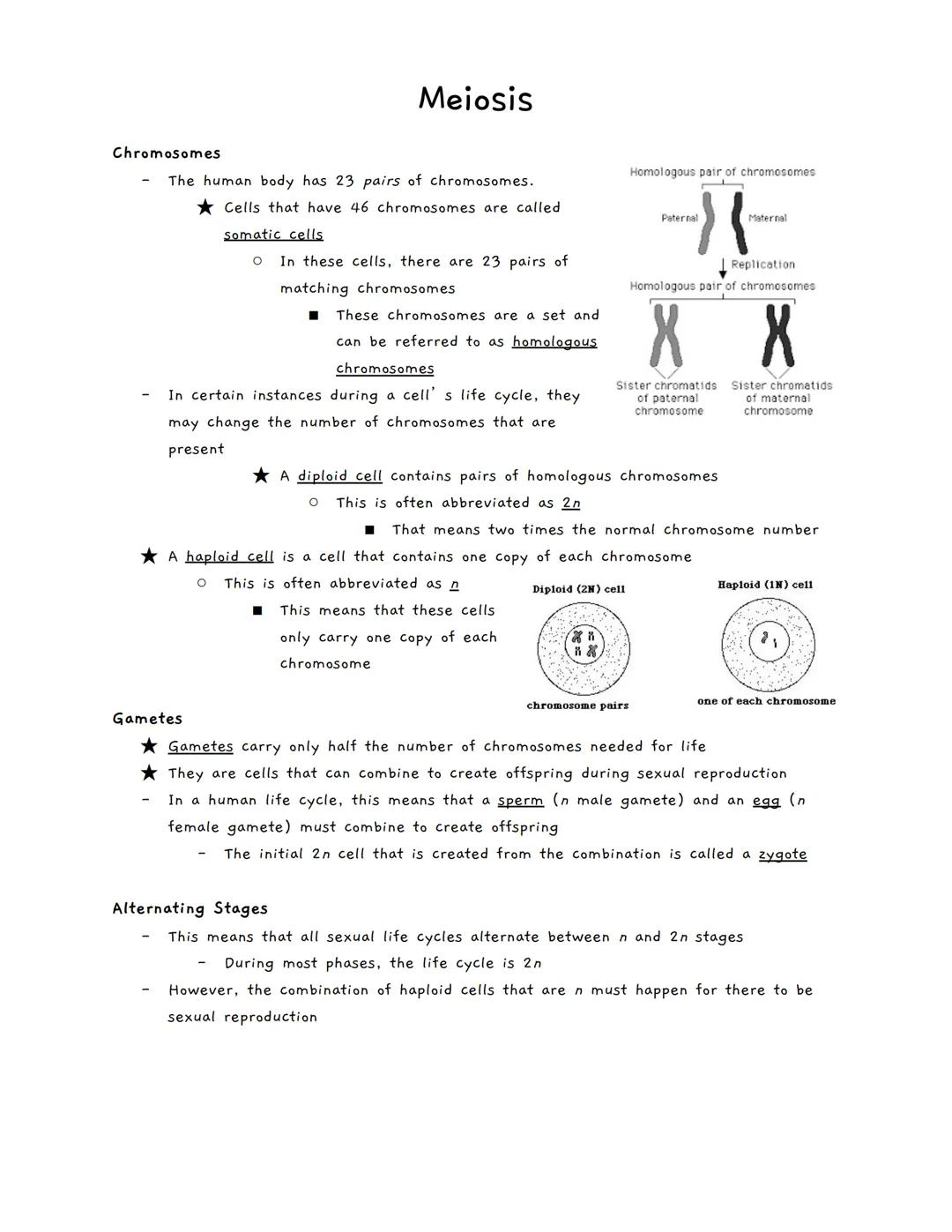 Chromosomes
Meiosis
The human body has 23 pairs of chromosomes.
Cells that have 46 chromosomes are called
somatic cells
O In these cells, th