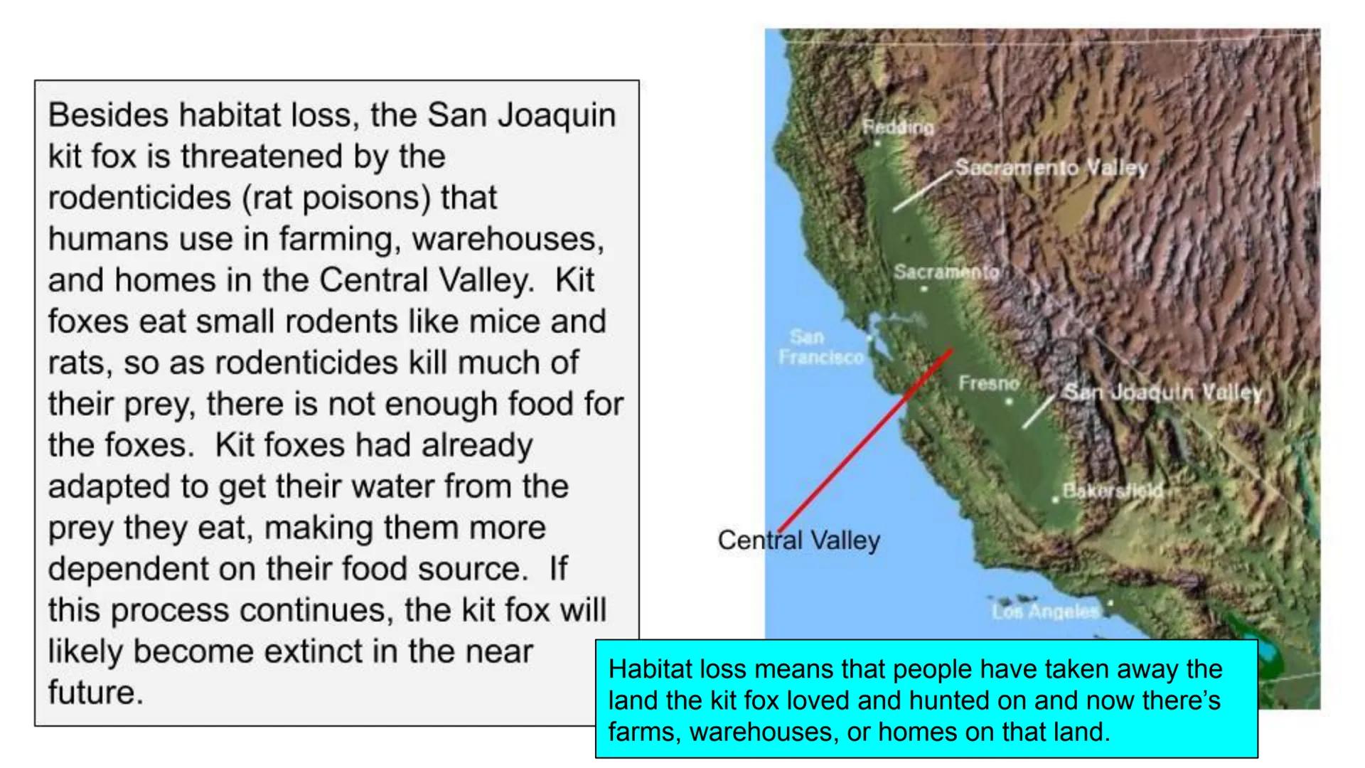 Human Impact on the
Earth:
Effects of Environmental
Change on Biodiversity
From Stanford NGSS Integrated Curriculum 2018 Case Study #1: Effe