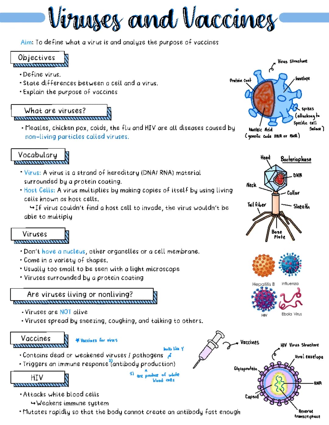 Understanding Vaccines: Types, Importance, and Impact on Society