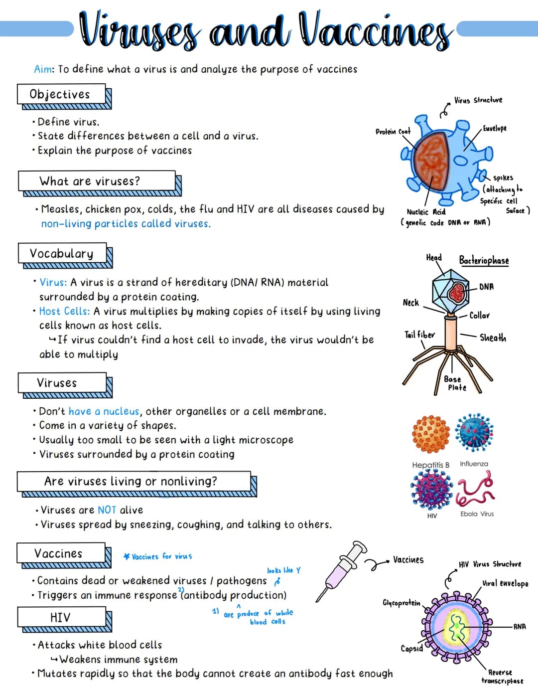 
<p>Vaccines play a crucial role in preventing the spread of diseases and protecting individuals from getting sick. The importance of vaccin