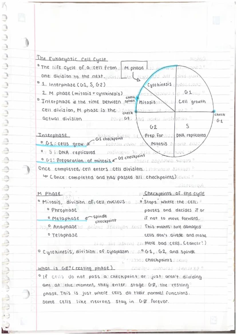 Unit 3
Cell Theory
1. All living things are made up of one or more cells.orge
2. Cells are the basic units of structure and function in Ge
o
