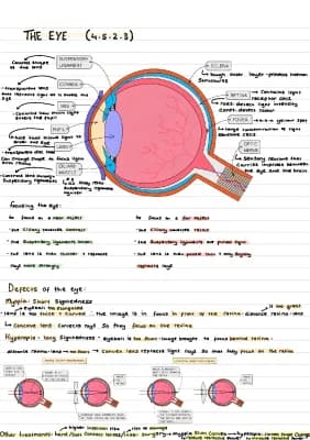 Know The Eye - GCSE AQA Biology Notes / Higher  thumbnail