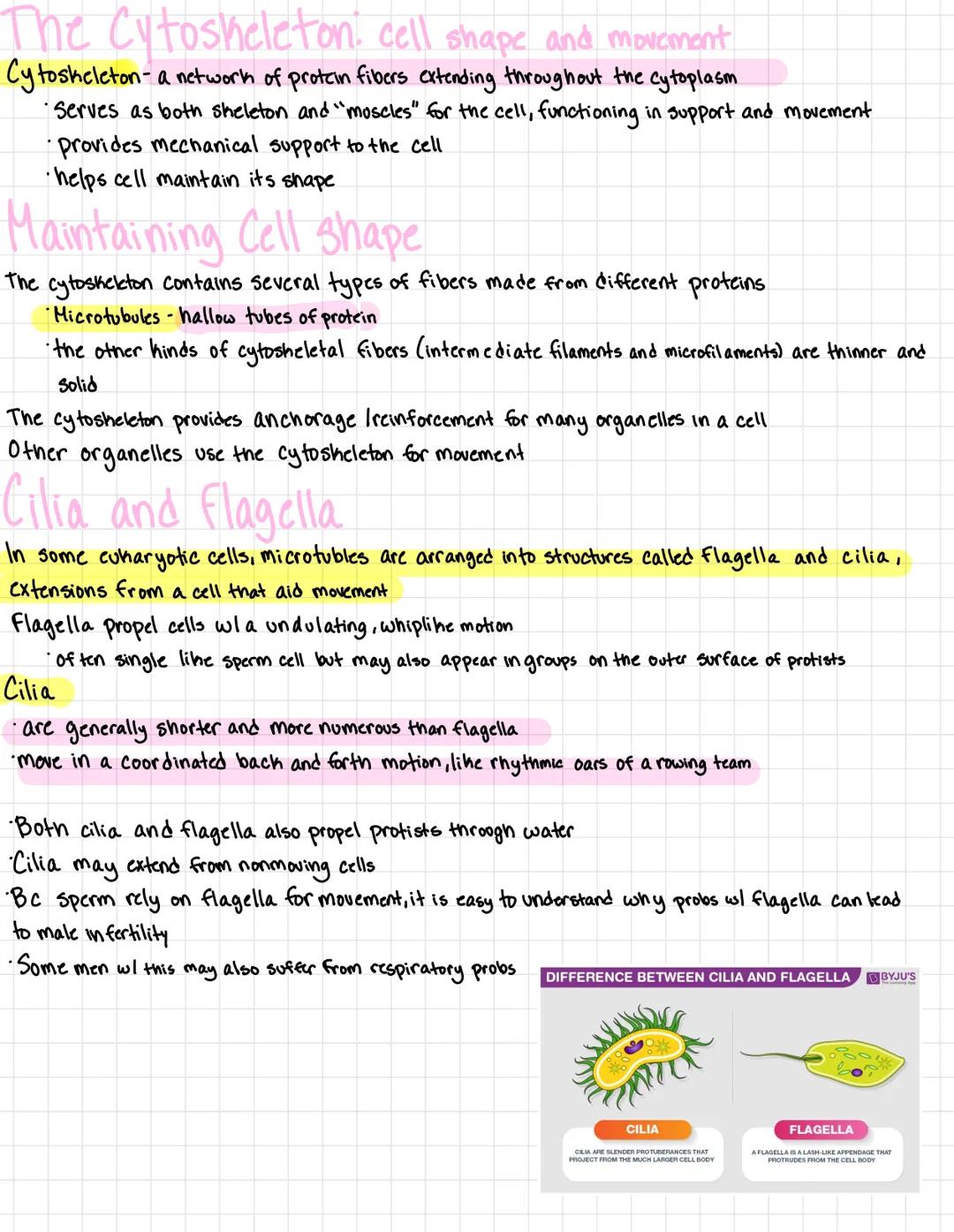 # A tour of the cell

Organisms are either single celled
*   prokaryotes
*   Protists

or multicellular
*   plants
*   animals
*   most fung